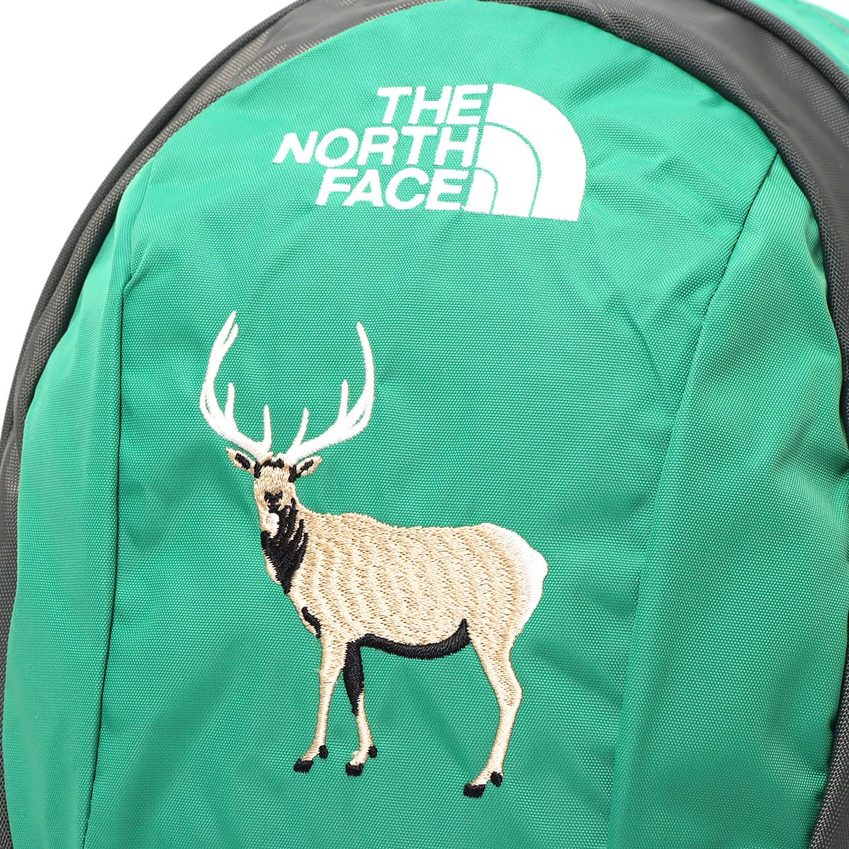 THE NORTH FACE K HOMESLICE プライマリーグリーン 23SS-I