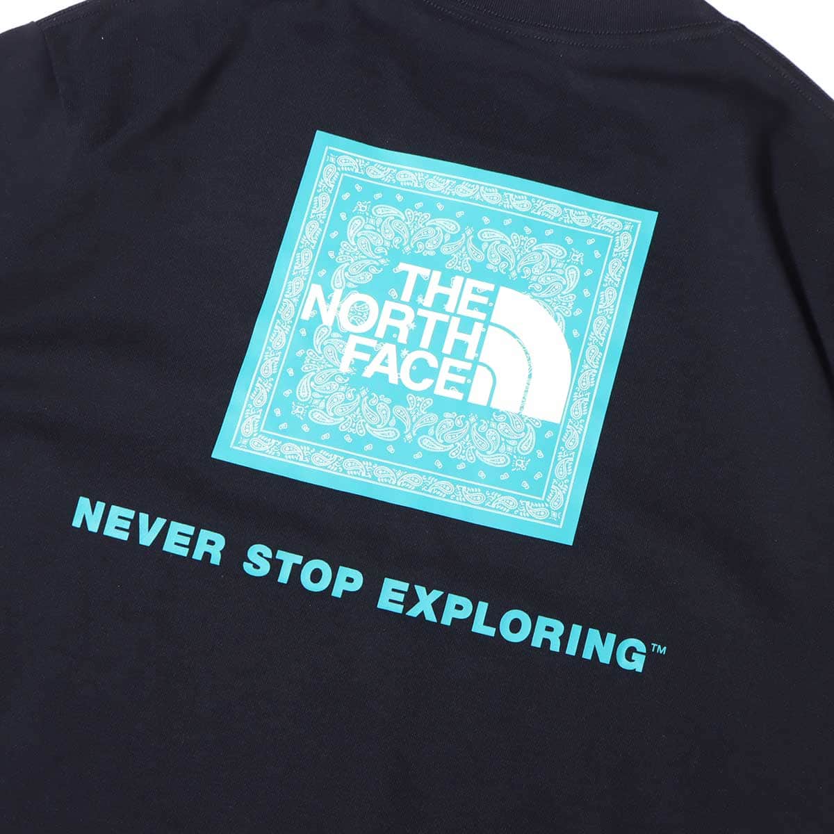 THE NORTH FACE S/S BANDANA SQUARE LOGO TEE アビエイターネイビー 22SS-Iの画像