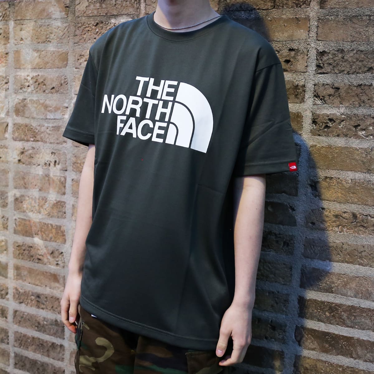 THE NORTH FACE S/S COLOR DOME TEE NEWTAUPE 22SS-Iの画像