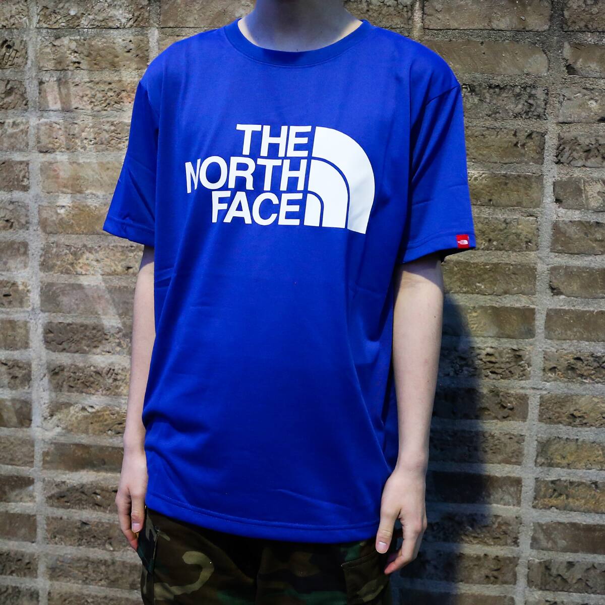 THE NORTH FACE S/S COLOR DOME TEE TNF BLUE 22SS-Iの画像