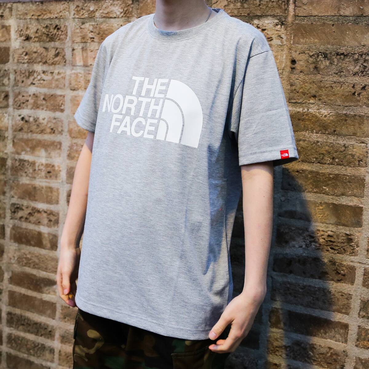 THE NORTH FACE S/S COLOR DOME TEE MIX GRAY 22SS-Iの画像