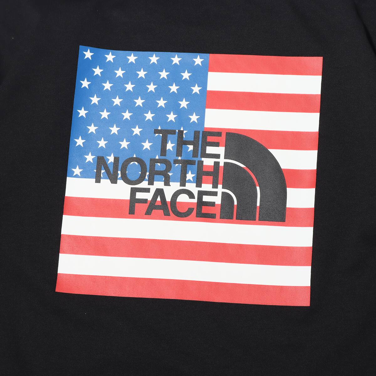 THE NORTH FACE S/S NATIONAL FLAG TEE BLACK 21SS-Iの画像