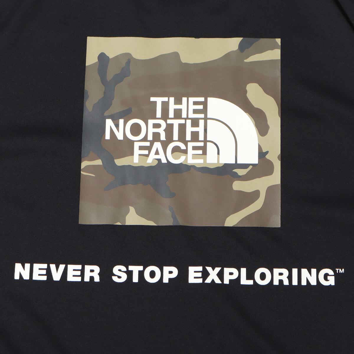 THE NORTH FACE S/S SQUARE CAMOFLUGE TEE BLACK 22SS-Iの画像