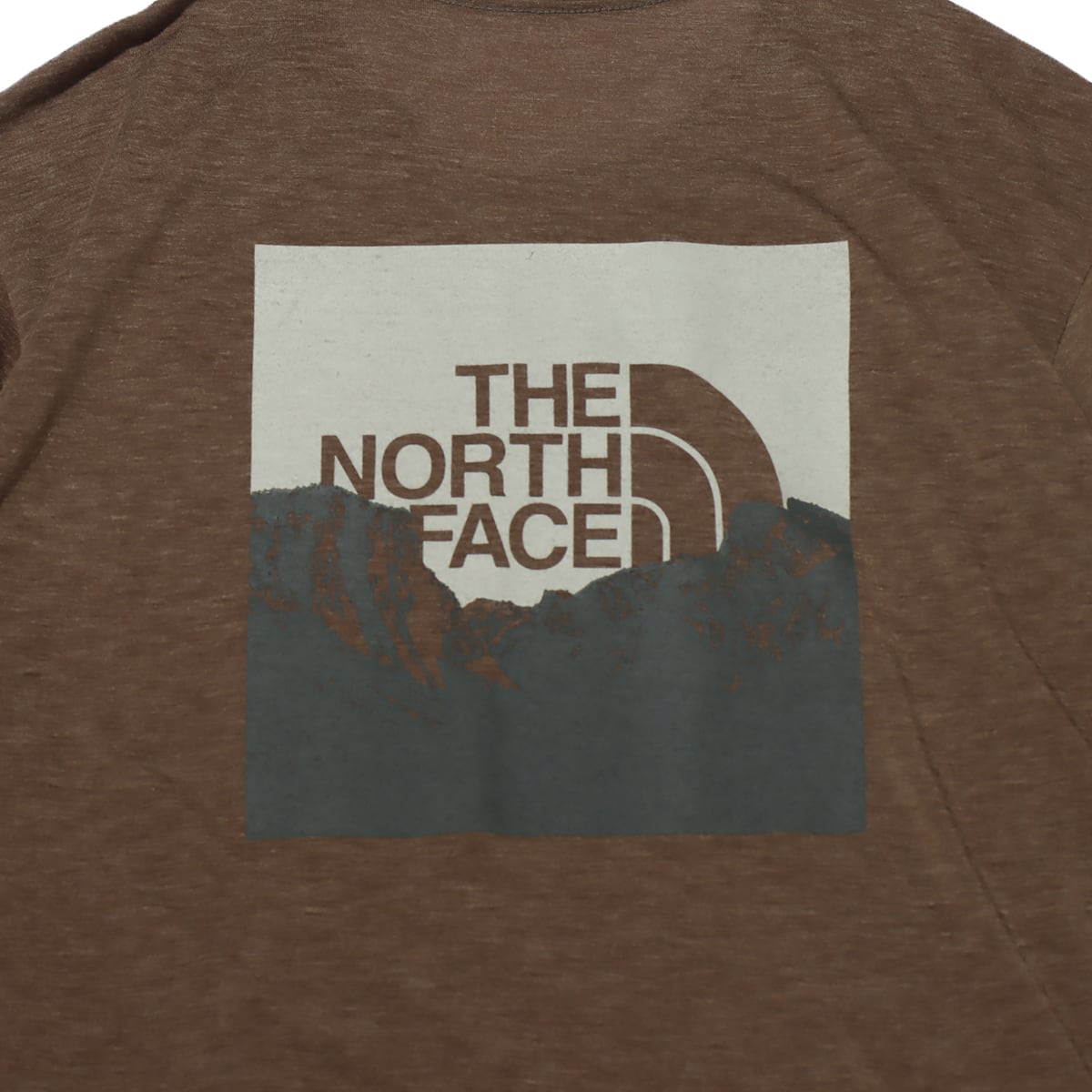 THE NORTH FACE S/S FLASHDRY MERINO PHOTO CREW NEWTAUPE の画像
