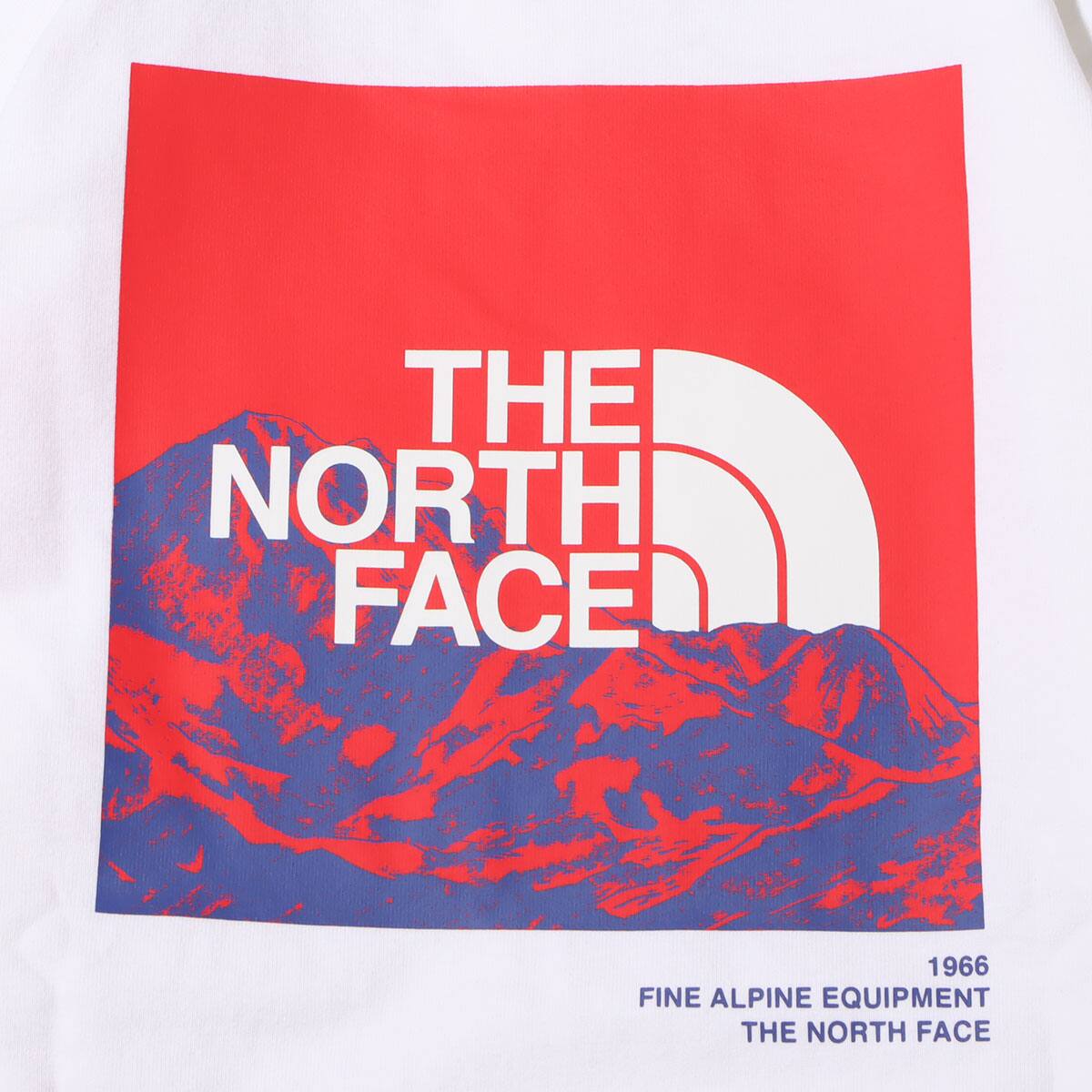 THE NORTH FACE L/S SLEEVE GRAPHIC TEE WHITE 22SS-Iの画像