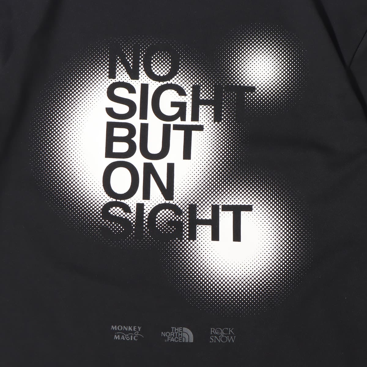 THE NORTH FACE S/S MONKEY MAGIC TEE BLACK 22SS-Iの画像