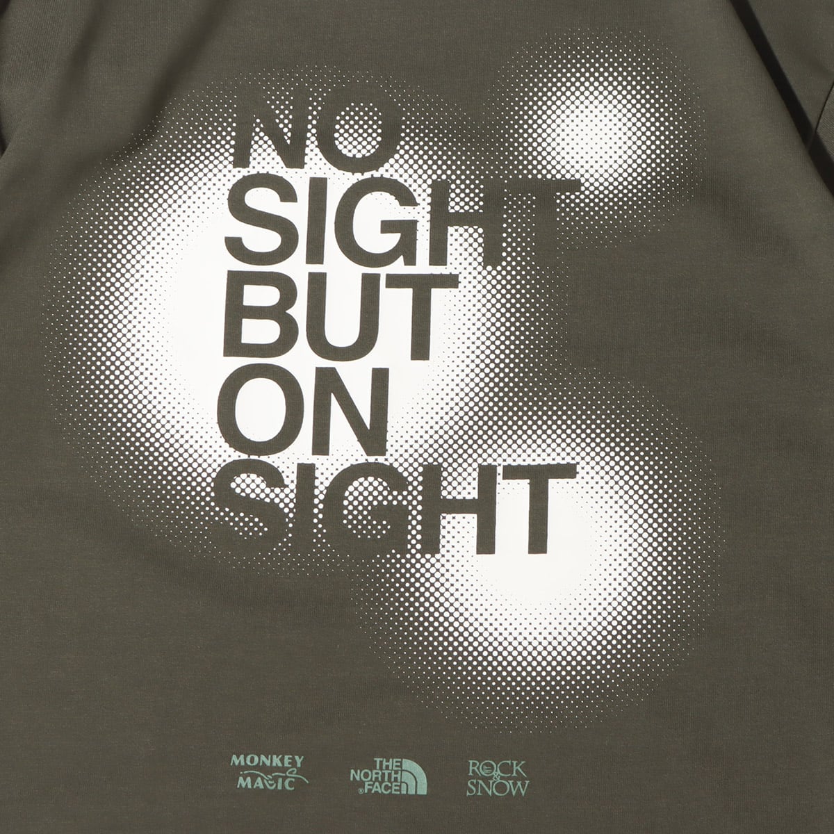 THE NORTH FACE S/S MONKEY MAGIC TEE NEWTAUPE 22SS-Iの画像