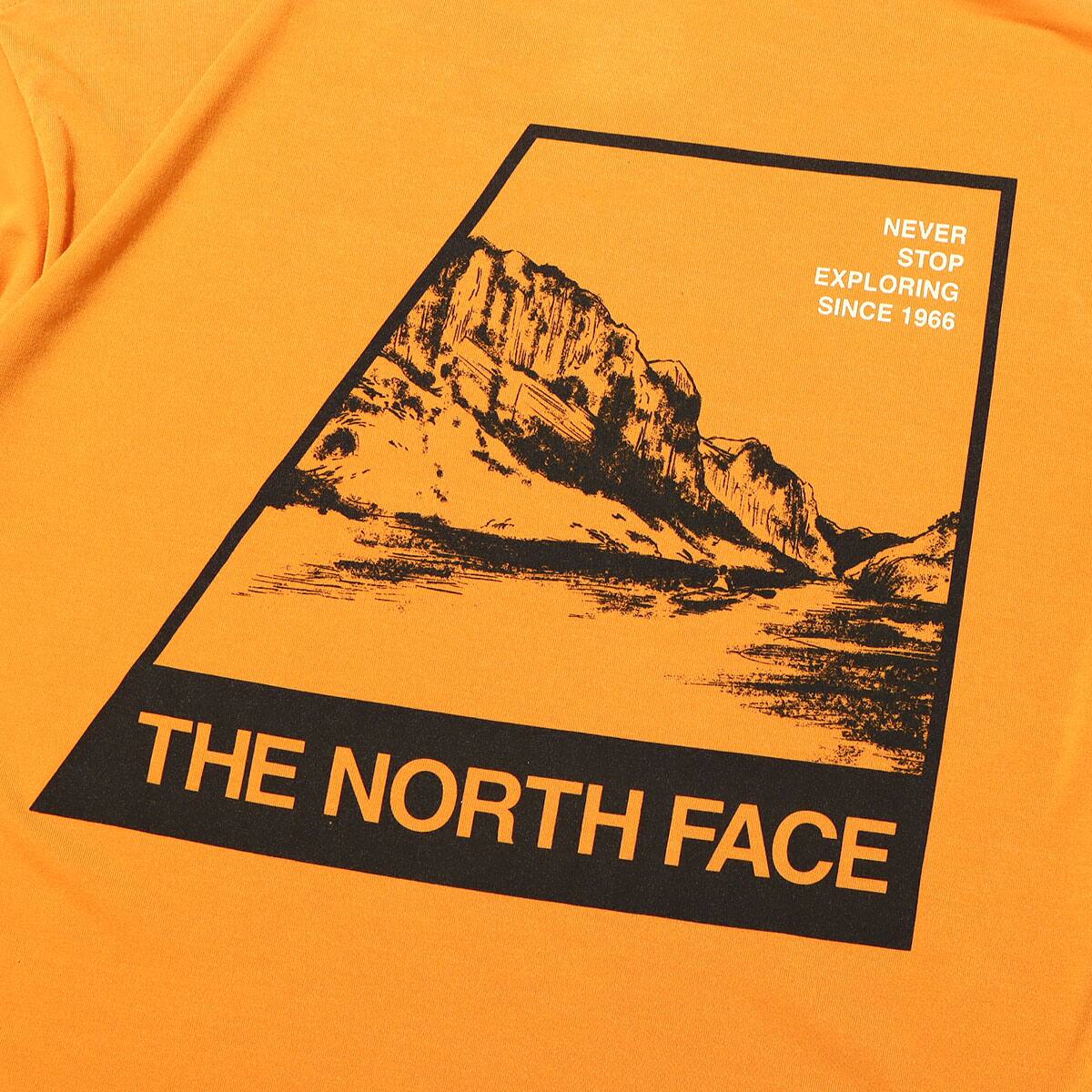 THE NORTH FACE S/S HISTORICAL ORIGIN TEE シトロンイエロー 22SS-Iの画像