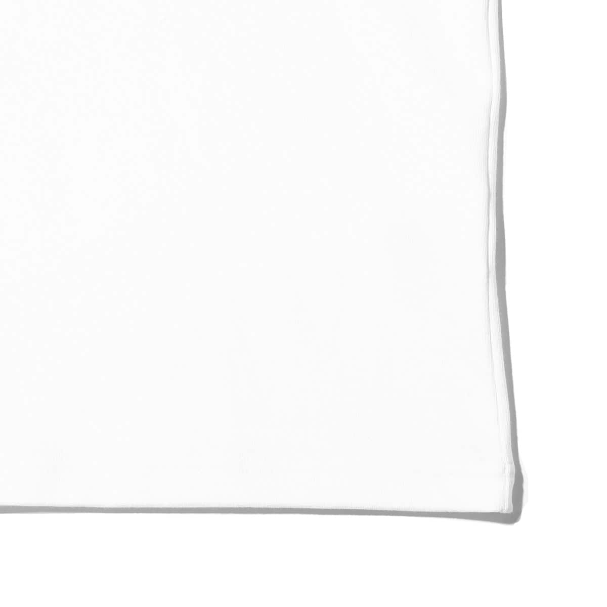 THE NORTH FACE L/S SLEEVE GRAPHIC TEE ホワイト 23SS-Iの画像