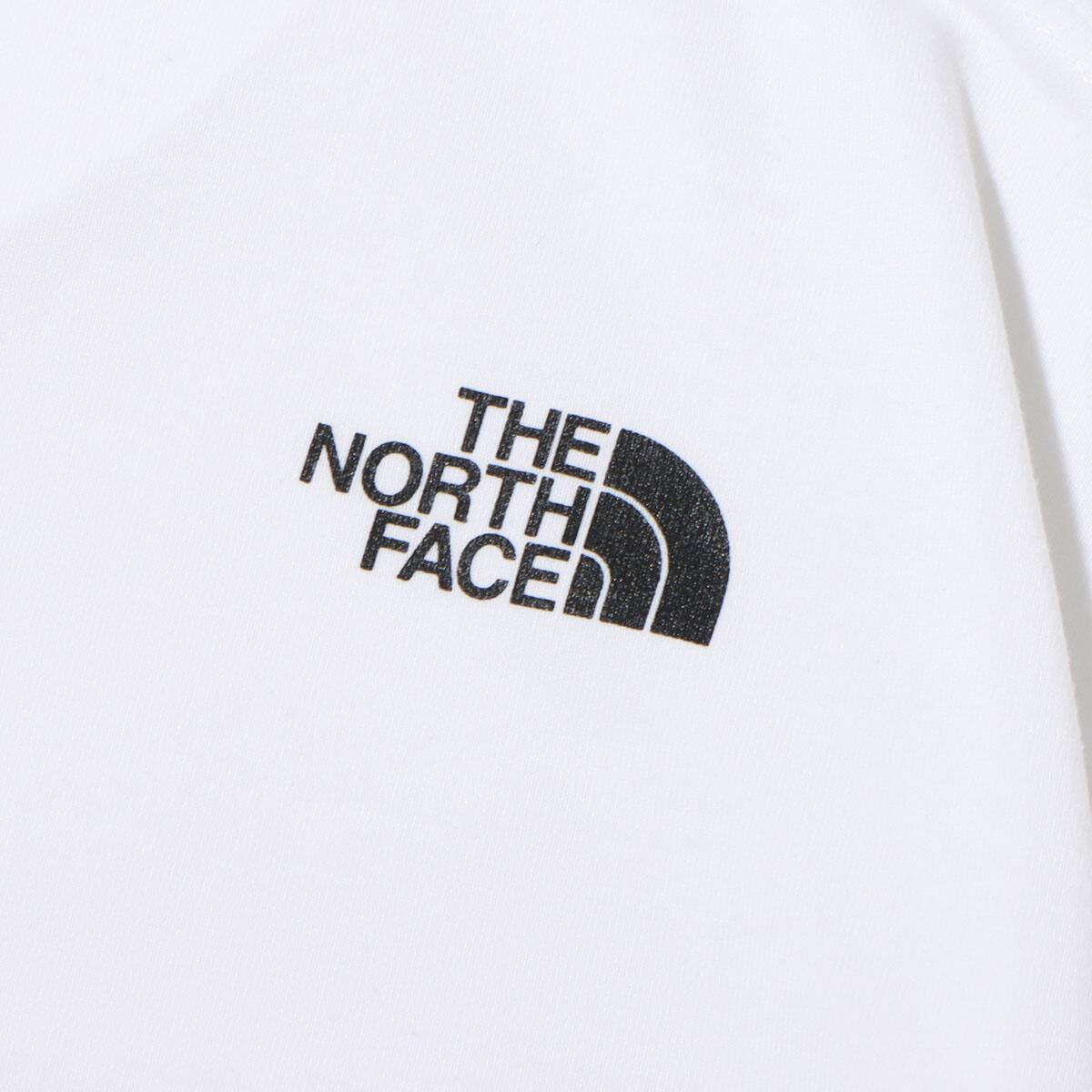 THE NORTH FACE S/S TRIPLE GRADATION TEE ホワイト 23SS-Iの画像