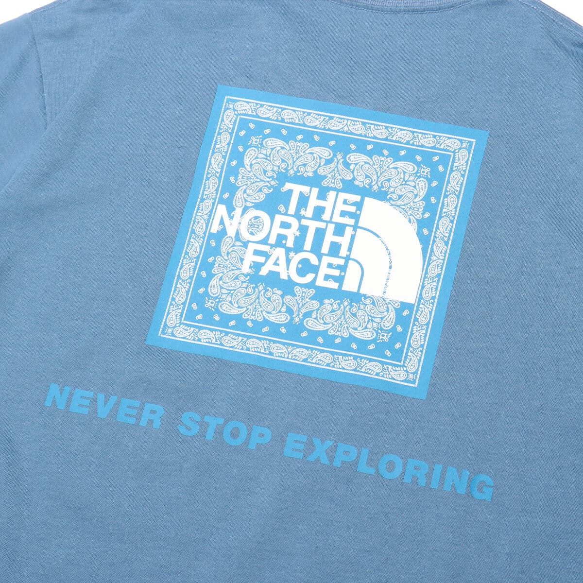 THE NORTH FACE S/S Bandana Square Logo Tee インディゴ