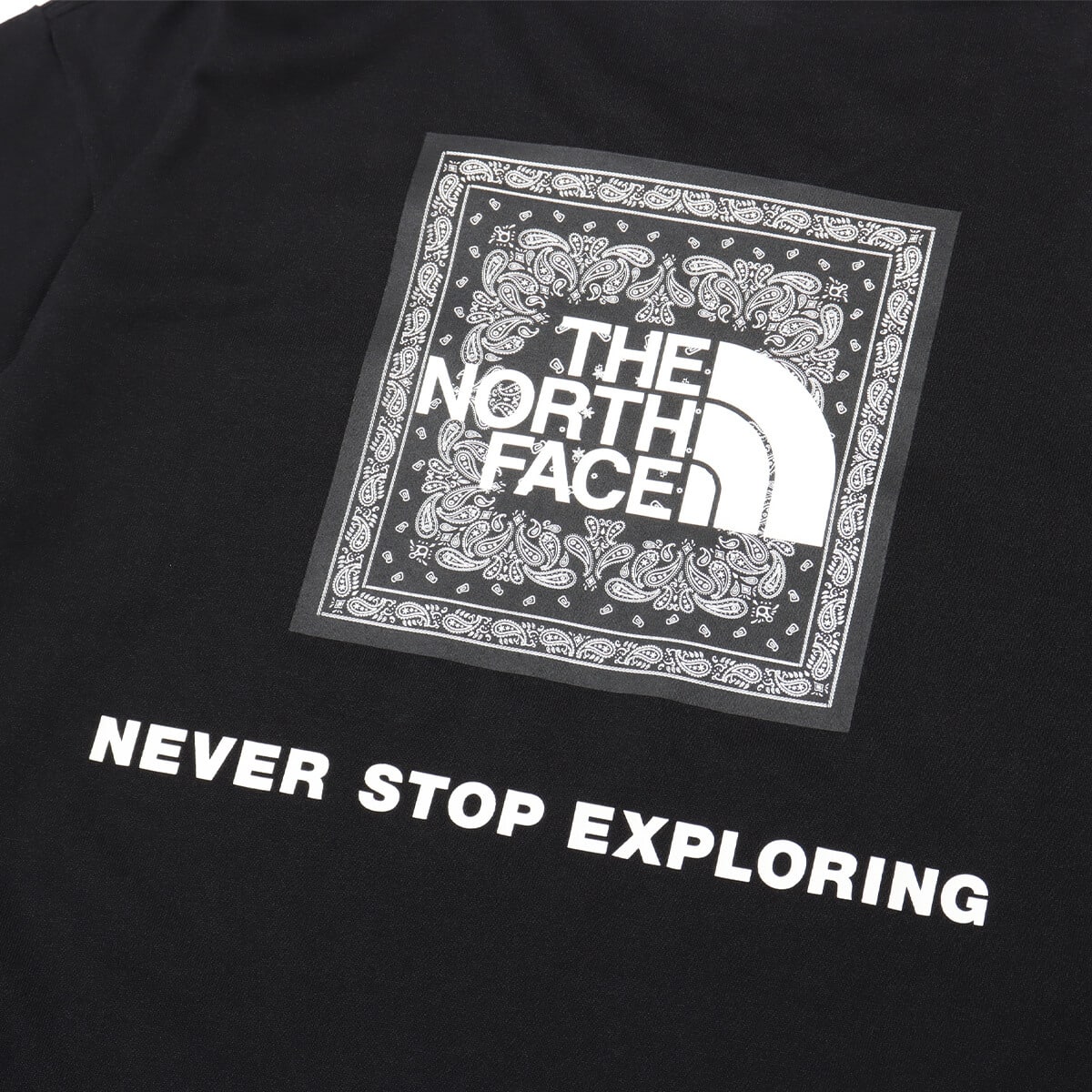 THE NORTH FACE S/S Bandana Square Logo Tee ブラック 24SS-Iの画像