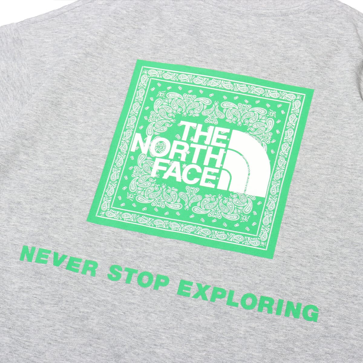 THE NORTH FACE S/S Bandana Square Logo Tee ミックスグレー 24SS-Iの画像