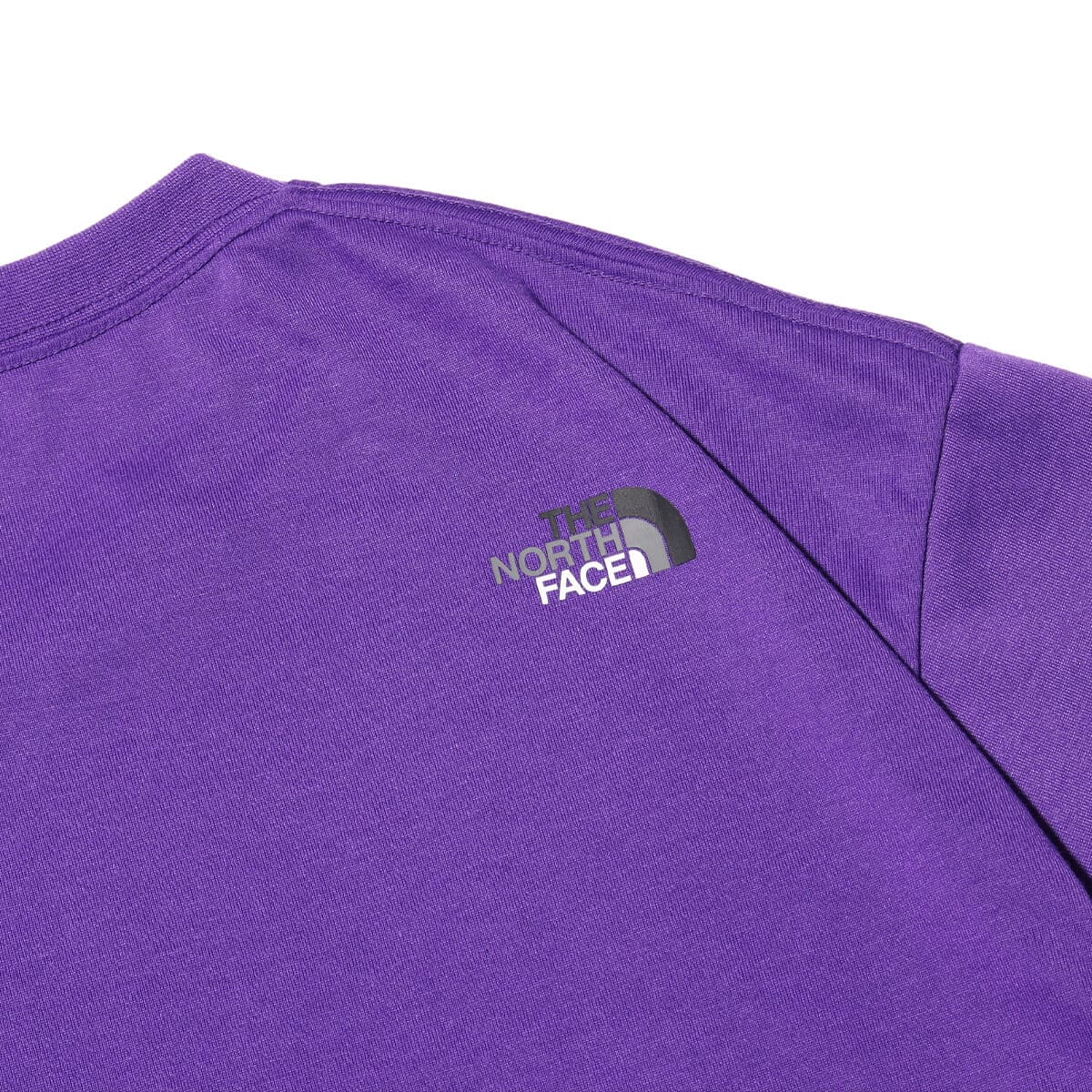 THE NORTH FACE S/S Colorful Logo Tee TNFパープル（ザ・ノース