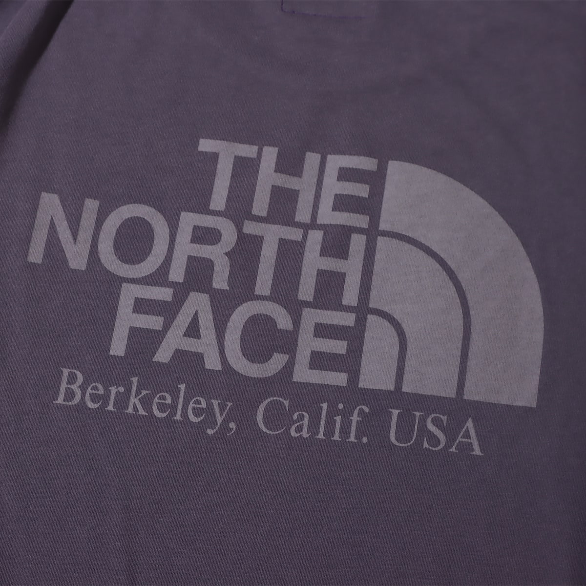 THE NORTH FACE PURPLE LABEL L/S Graphic Tee Vintage Navy