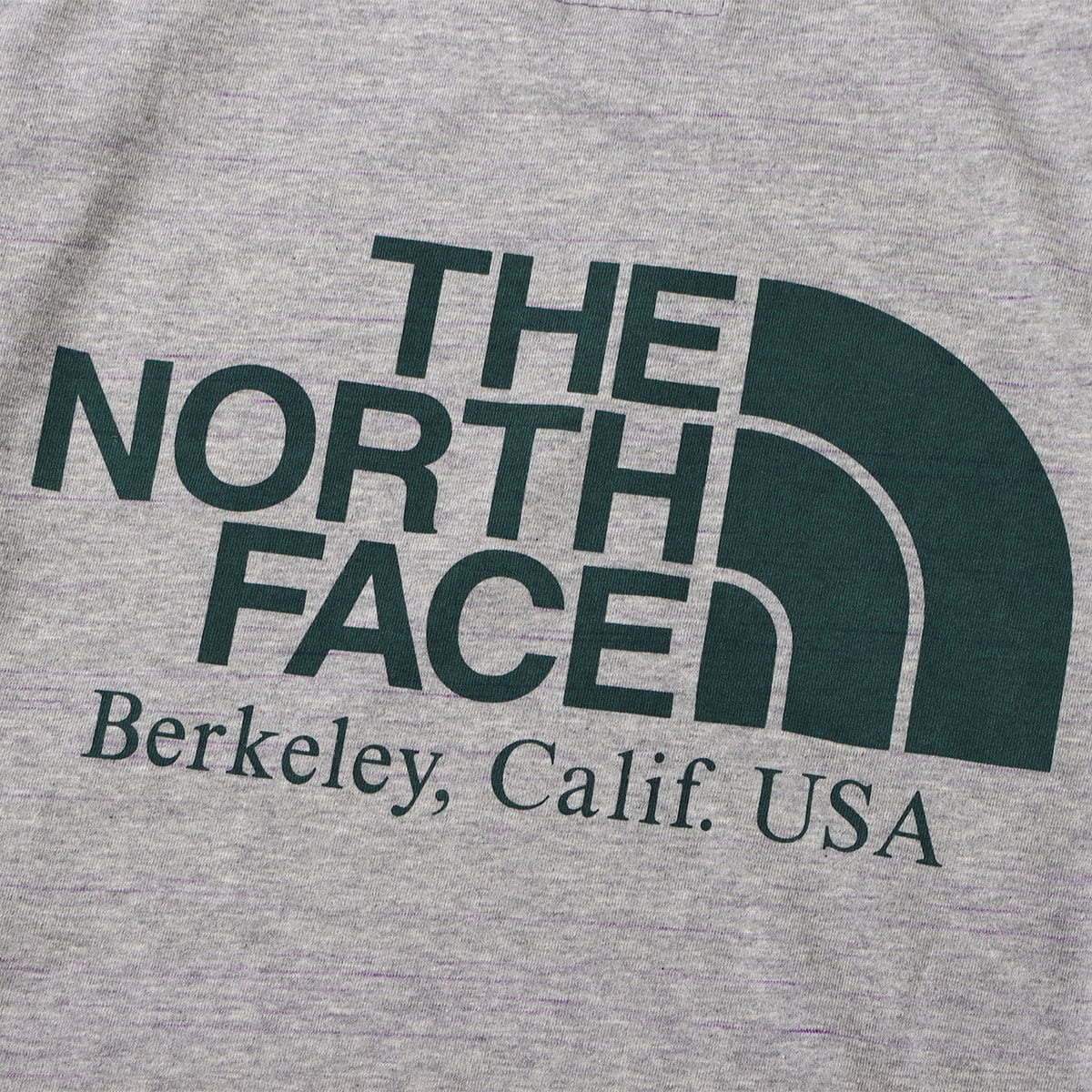 THE NORTH FACE PURPLE LABEL L/S Graphic Tee Mix Gray 23SS-I