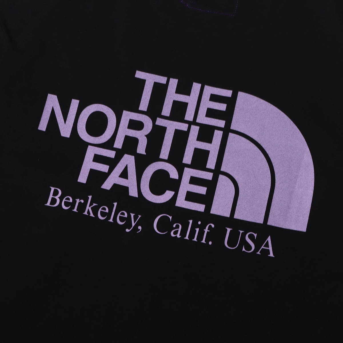 THE NORTH FACE PURPLE LABEL H/S Graphic Tee Black 23SS-I（ザ