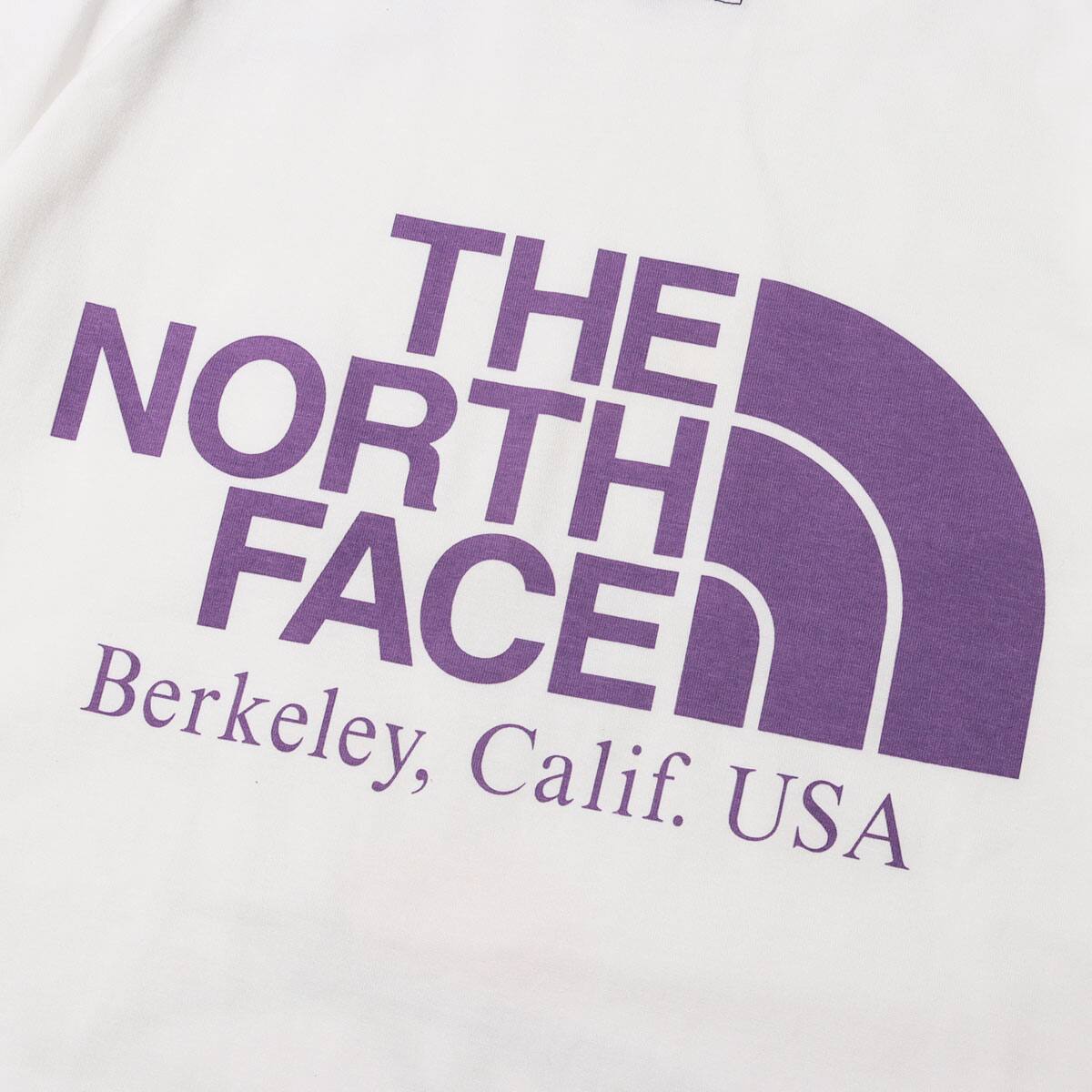 THE NORTH FACE PURPLE LABEL H/S Graphic Tee Green Guardrail 23SS-Iの画像