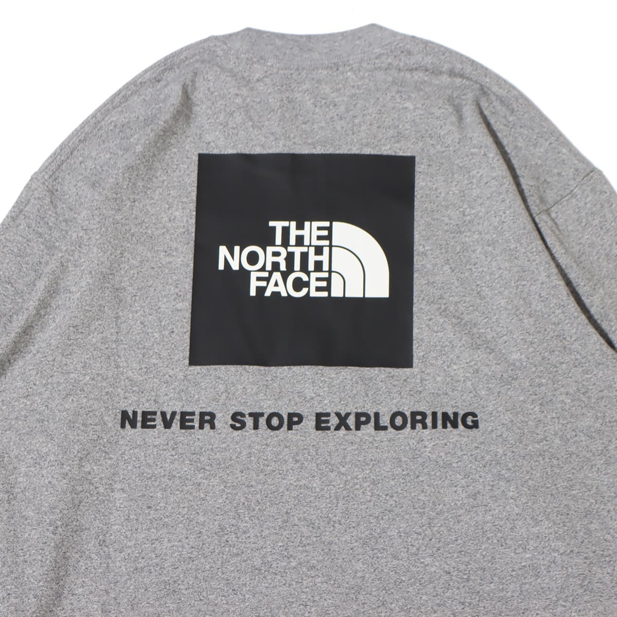 THE NORTH FACE L/S BACK SQUARE LOGO TEE MIXグレー 23FW-Iの画像