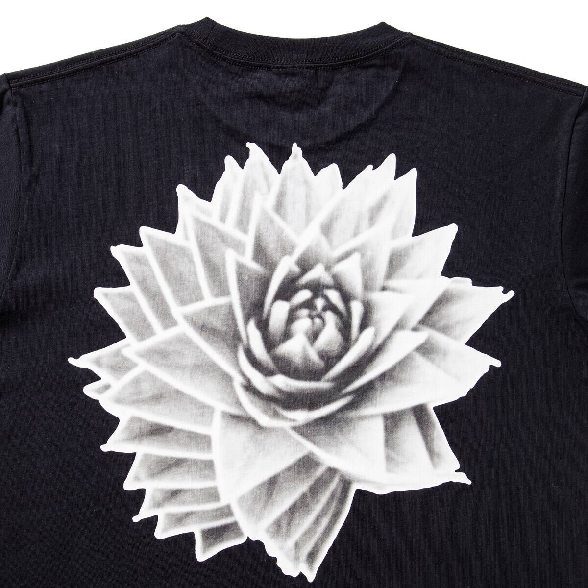 SOLID ROSE T-SHIRT BLACK 21SU-Iの画像