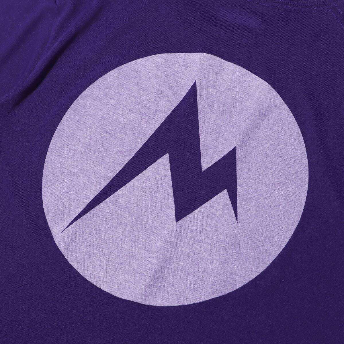 Marmot BIG DOT-M H/S CREW PURPLE 20SP-Iの画像