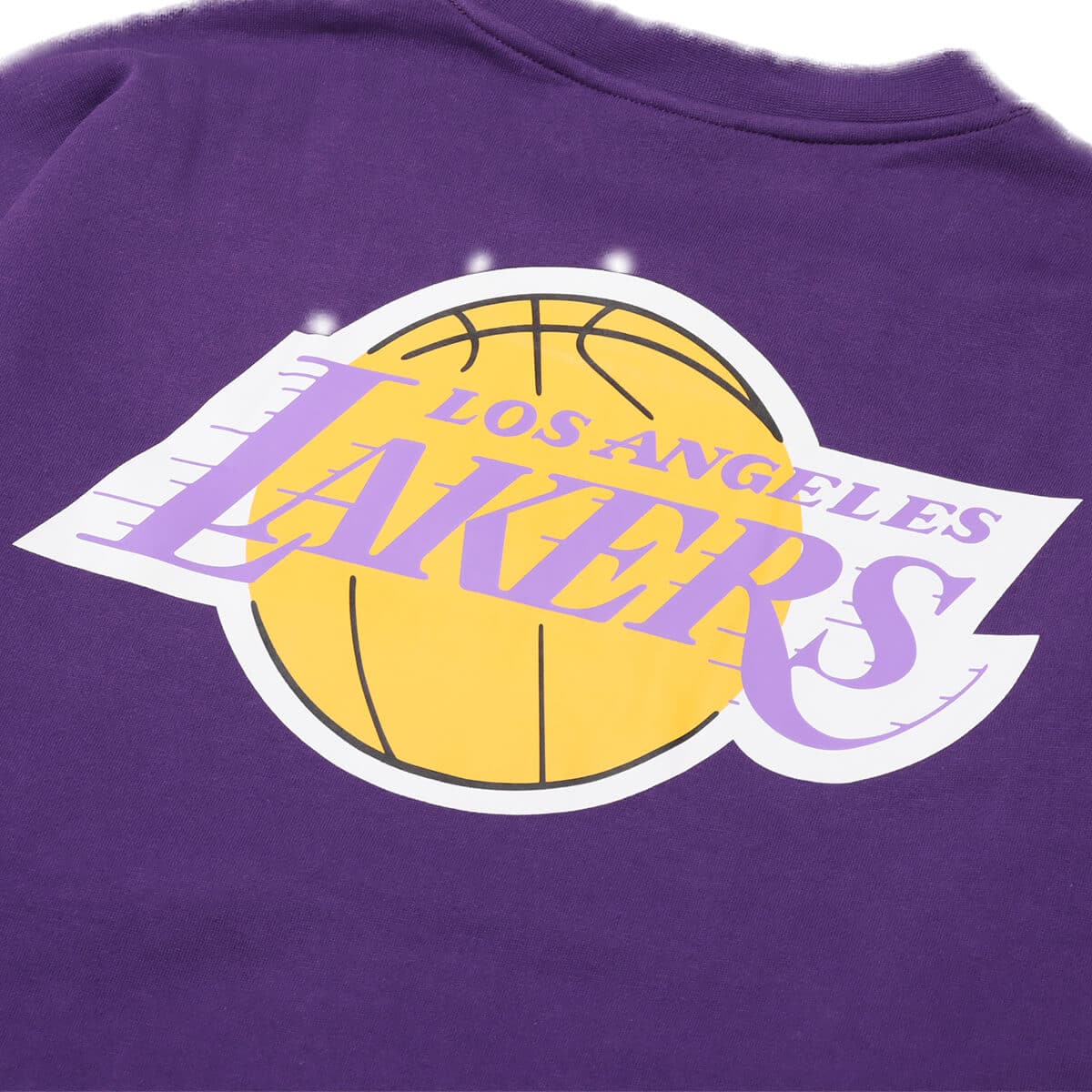 Mitchell & Ness THERE AND BACK FLEECE CREW LAL PURPLE 23FW-Iの画像
