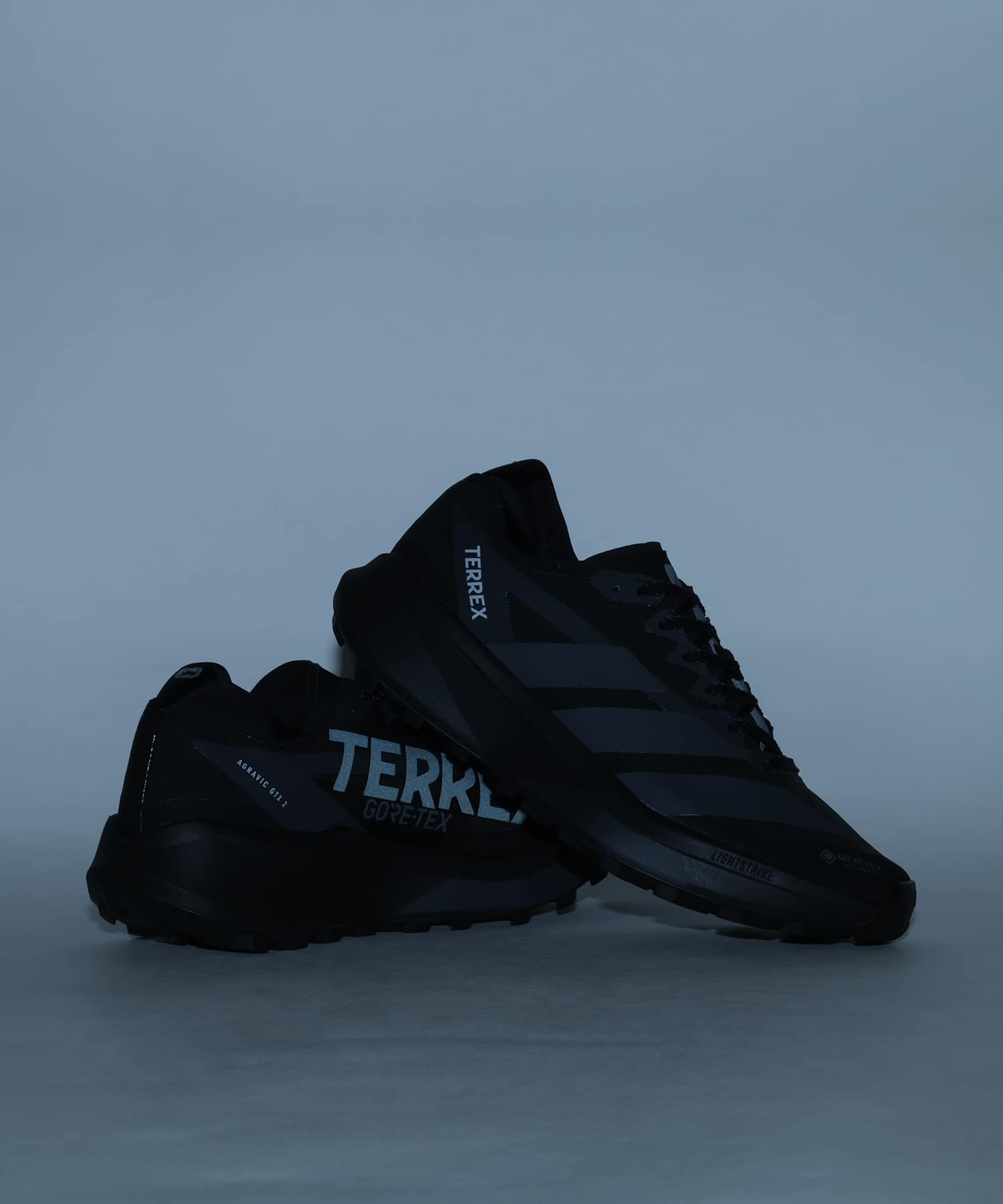 adidas TERREX AGRAVIC GTX 2 CBLACK/GRESIX/CARBONの画像