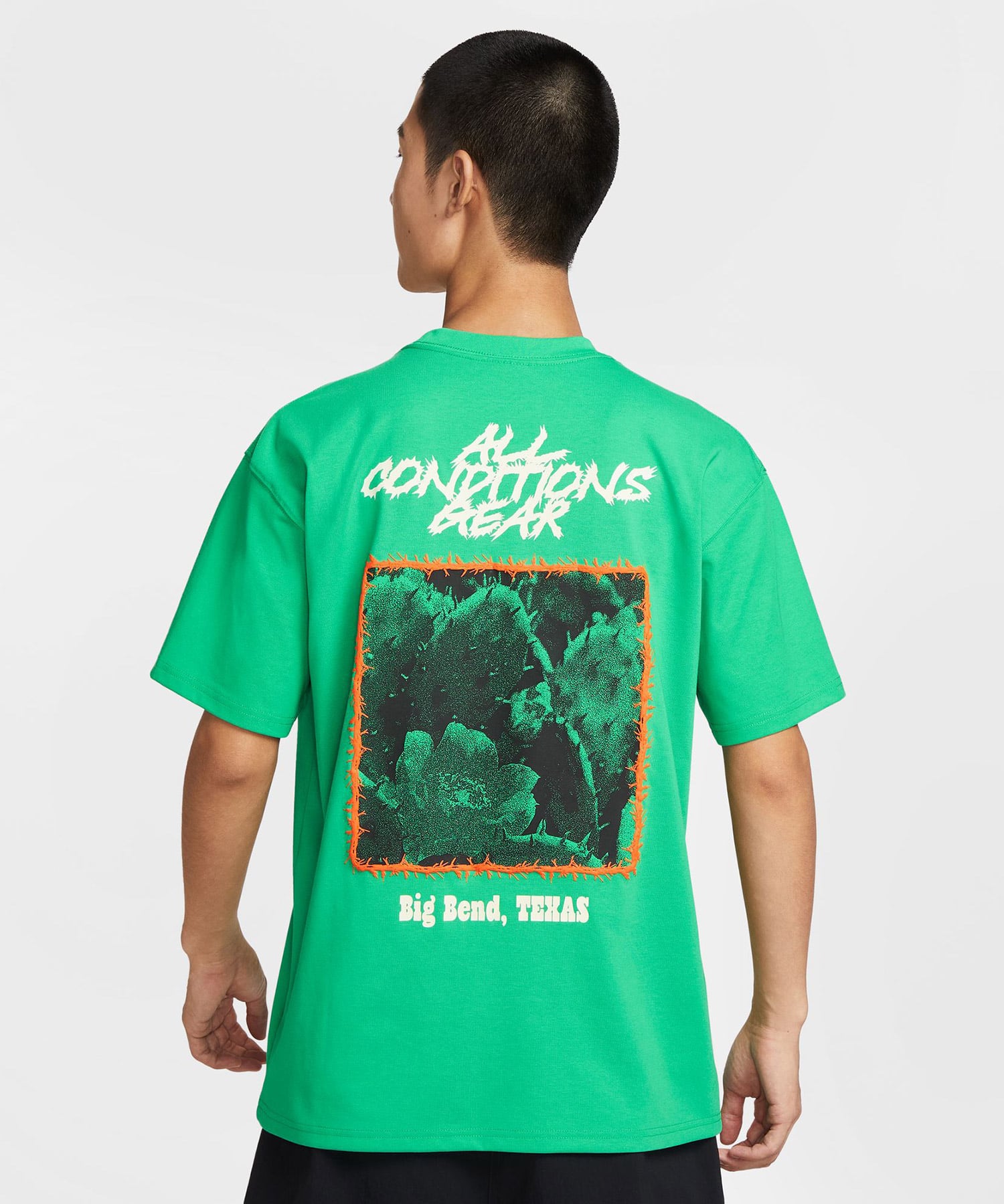 NIKE AS M ACG TEE OC CACTUS STADIUM GREENの画像