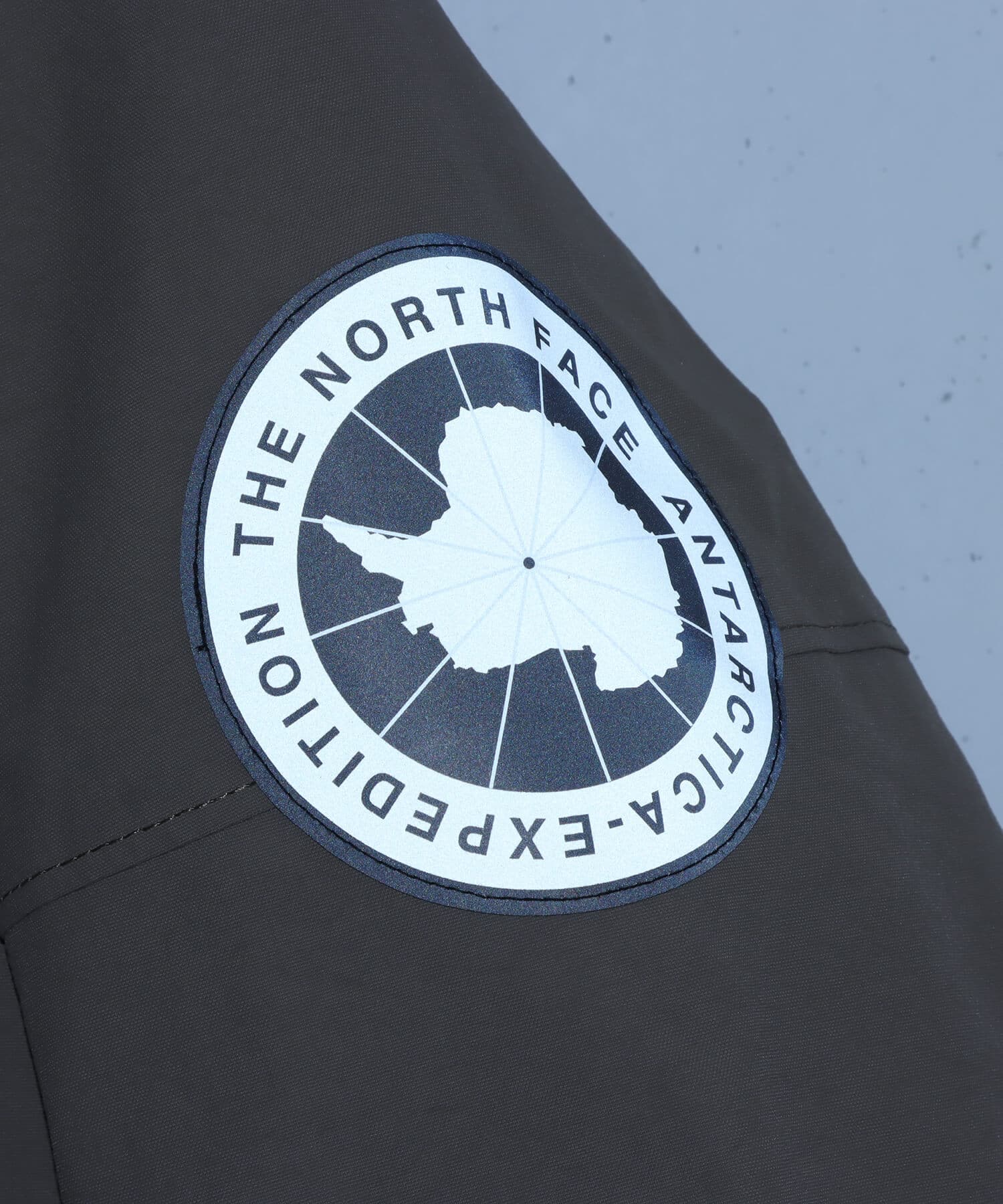 THE NORTH FACE Antarctica Parka マッシュルームの画像