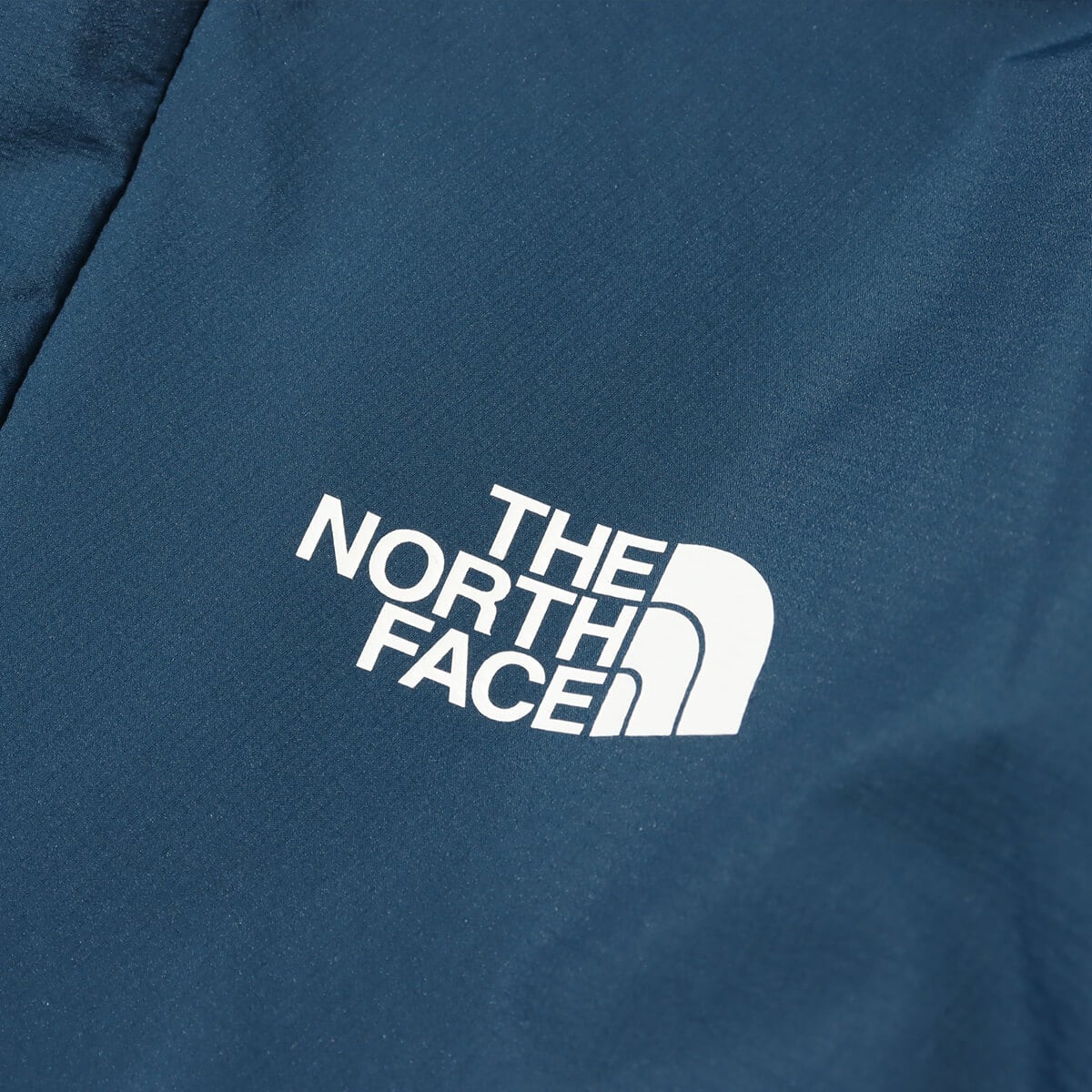 THE NORTH FACE Swallowtail Hoodie モントレーブルーの画像