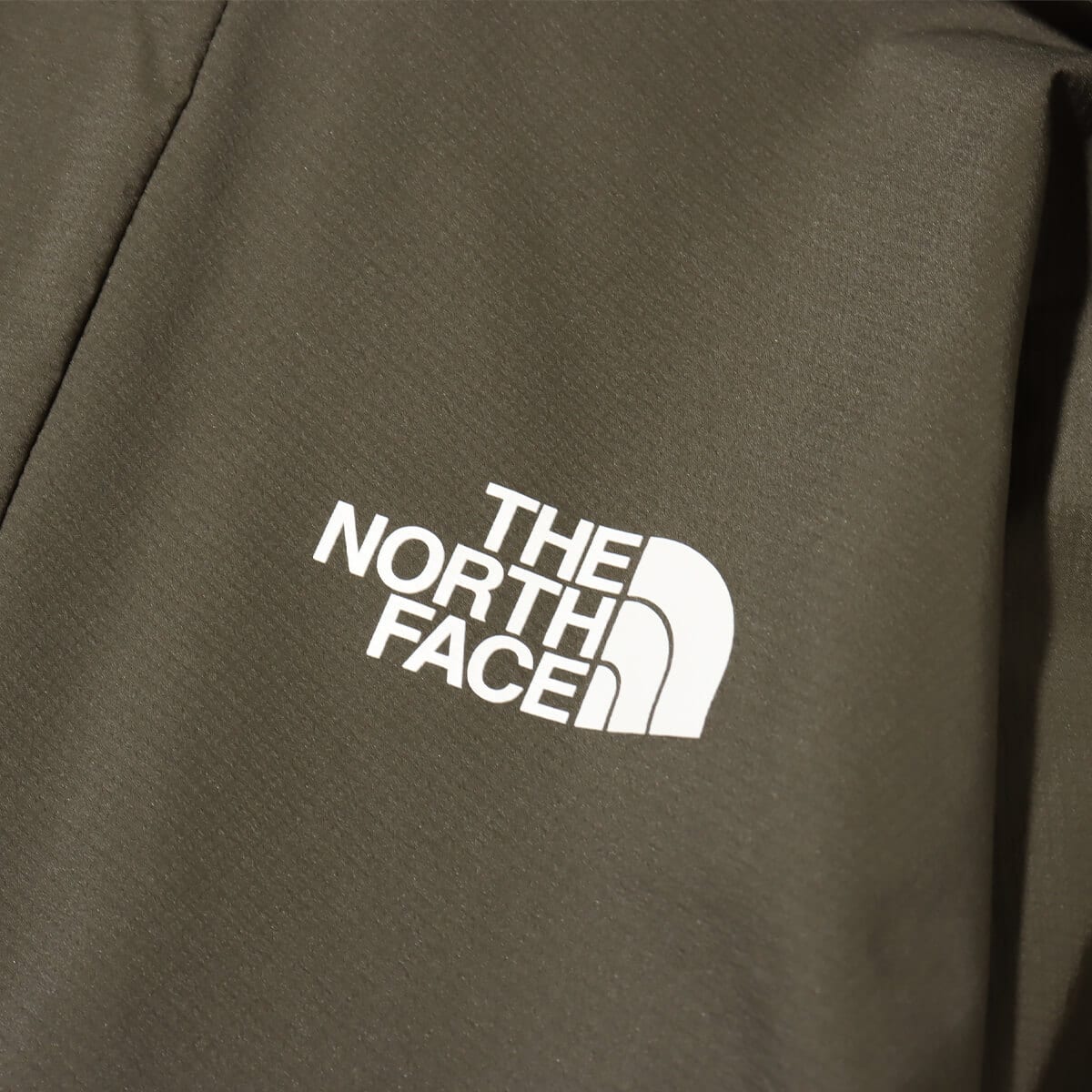 THE NORTH FACE Swallowtail Hoodie ニュートープの画像