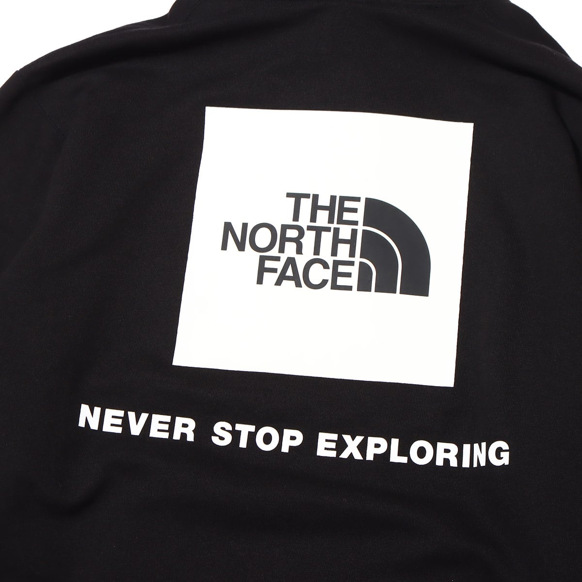 THE NORTH FACE BACK SQUARE LOGO HOODIE BLACKの画像