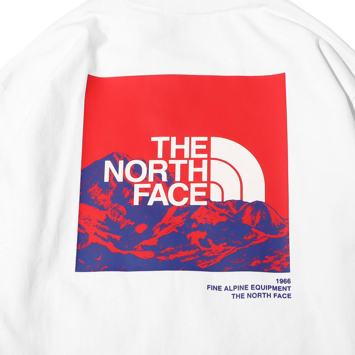 THE NORTH FACE L/S SLEEVE GRAPHIC TEE ホワイト 23SS-I