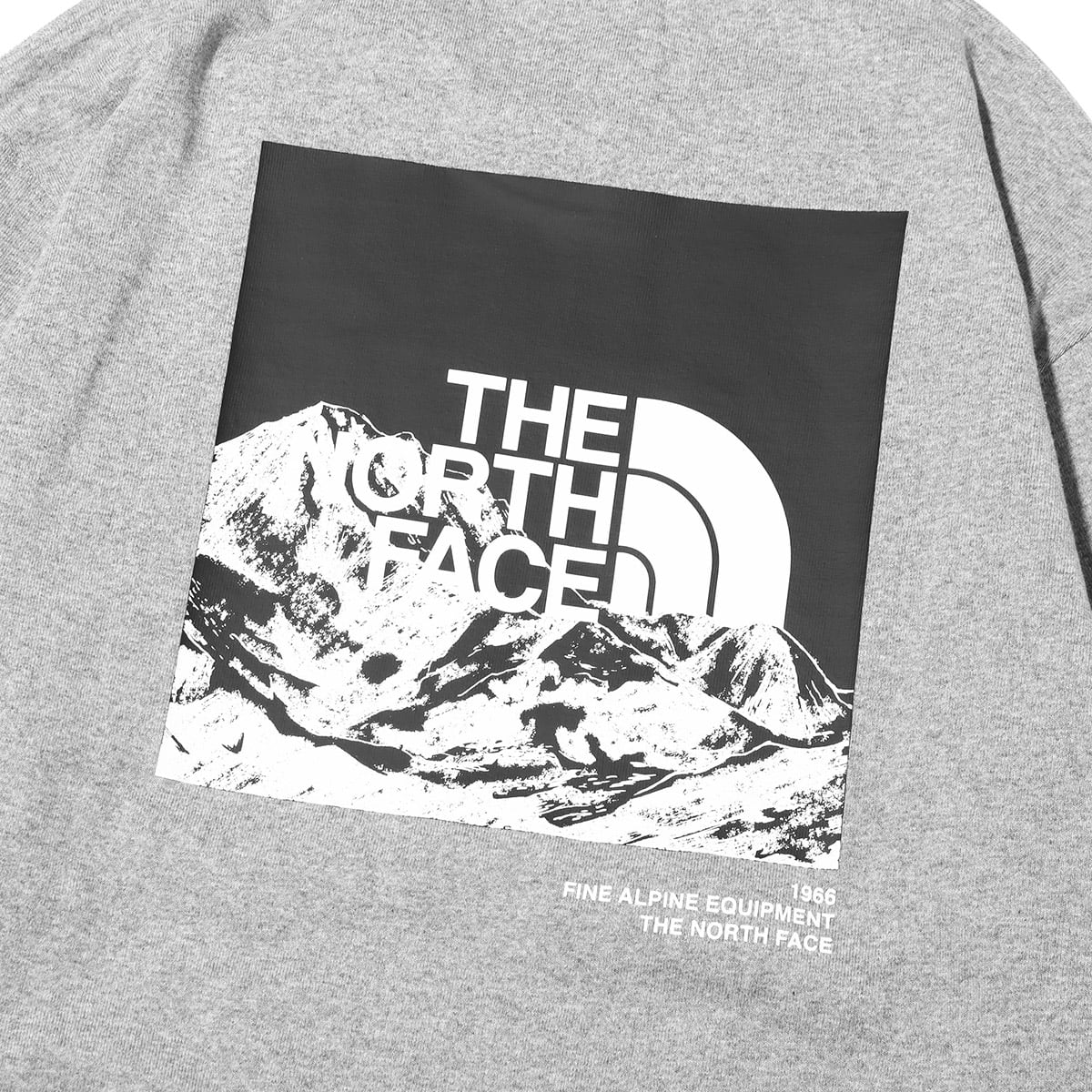 THE NORTH FACE L/S SLEEVE GRAPHIC TEE ミックスグレー 23SS-Iの画像