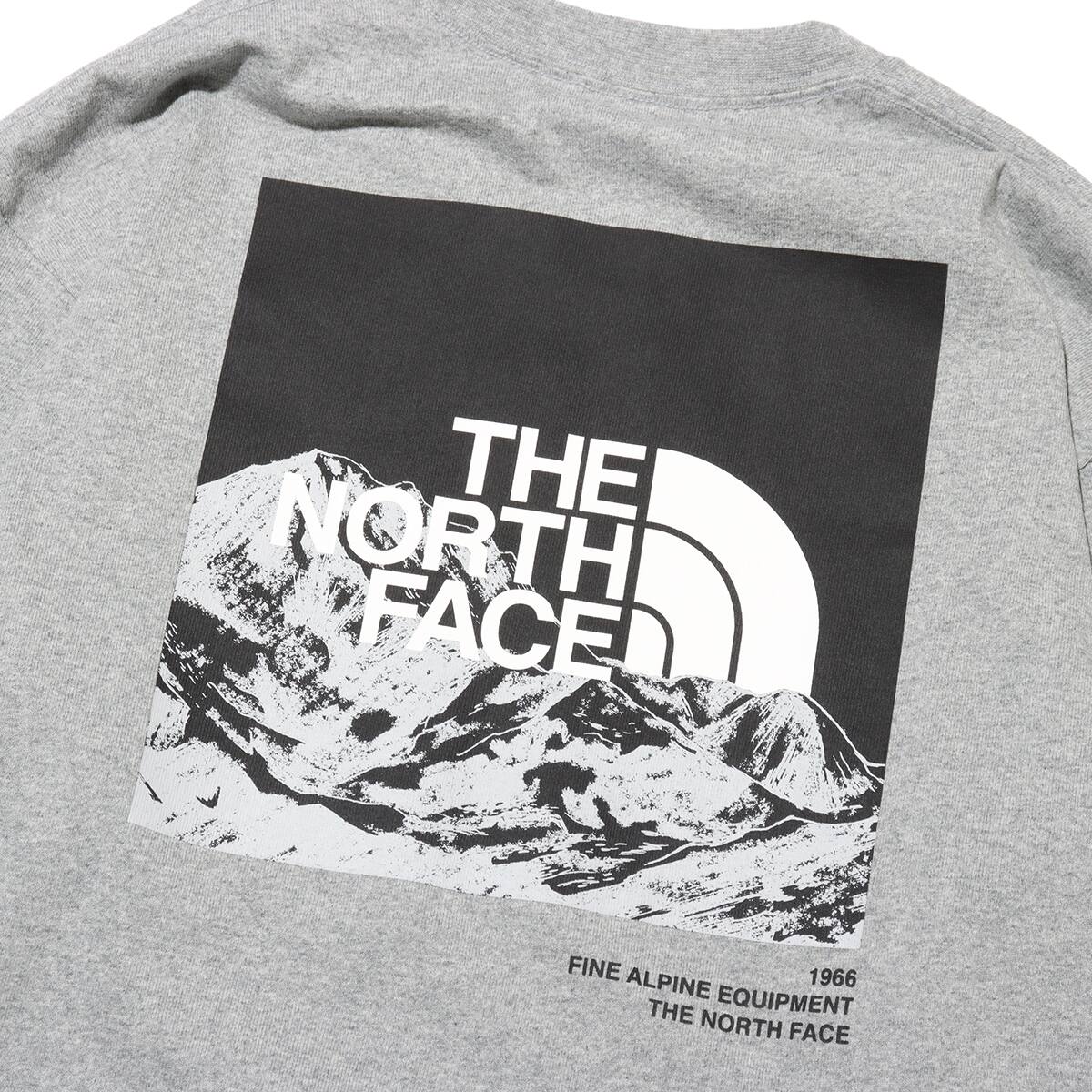 THE NORTH FACE L/S Sleeve Graphic Tee ミックスグレー 24SS-Iの画像
