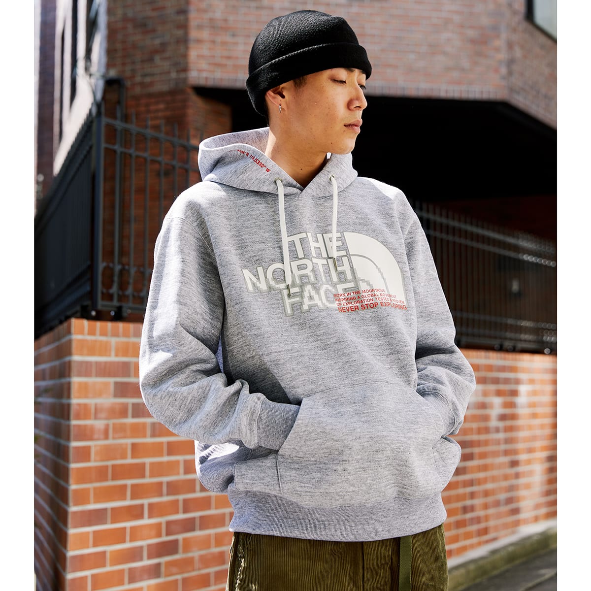 THE NORTH FACE FRONT HALF DOME HOODIE ミックスグレー 21FW-I