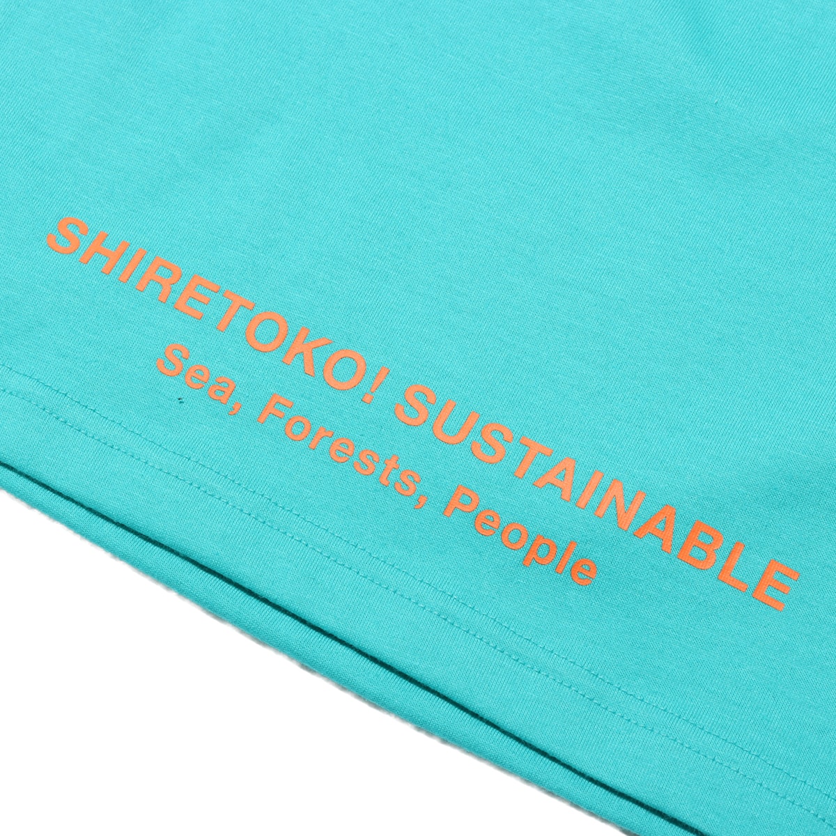 THE NORTH FACE S/S Shiretoko Toko Tee ガイザーアクア 24SS-Iの画像