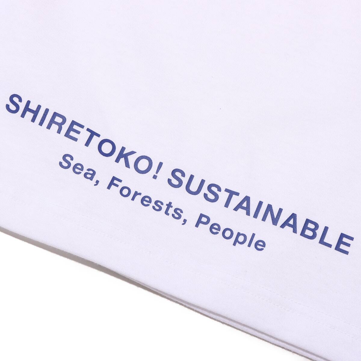THE NORTH FACE S/S Shiretoko Toko Tee ホワイトの画像