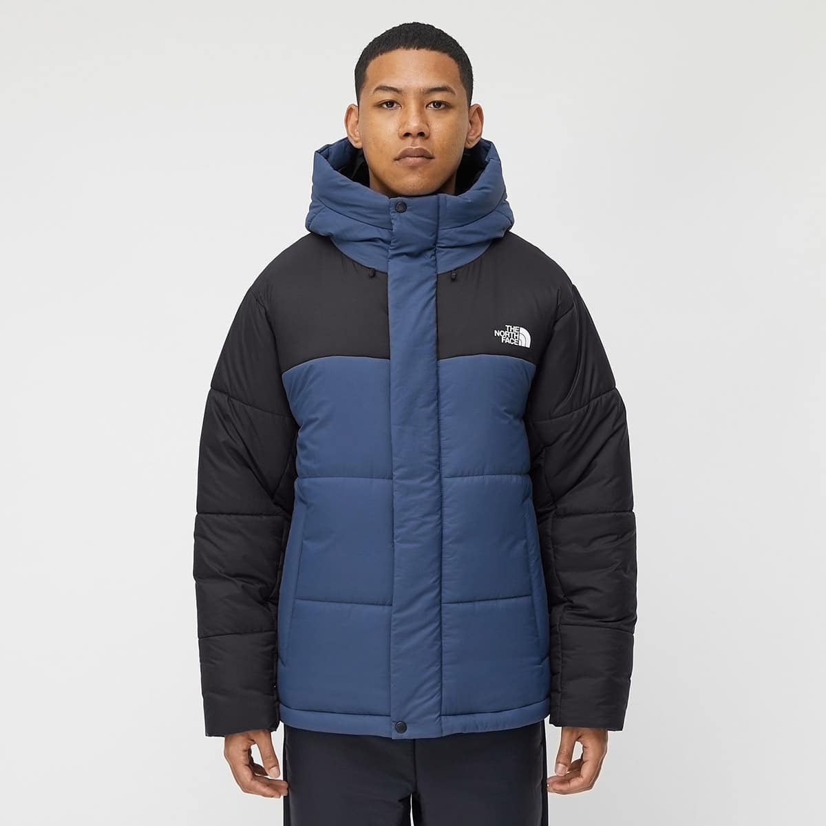 THE NORTH FACE VERTEX LONG JACKET シェイディーブルー 22FW-I