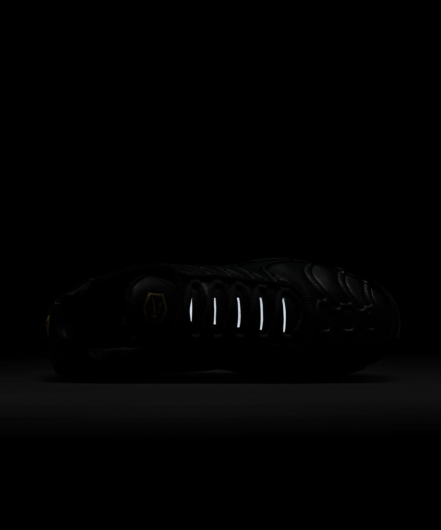 NIKE AIR MAX PLUS PRM BLACK/UNIVERSITY RED-BLACK-METALLIC GOLD の画像