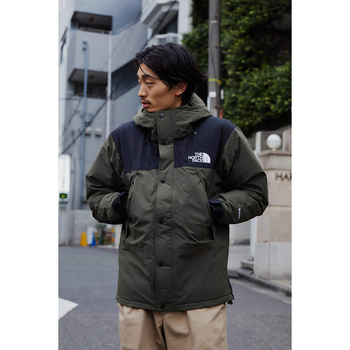 THE NORTH FACE MOUNTAIN DOWN JACKET ニュートープ