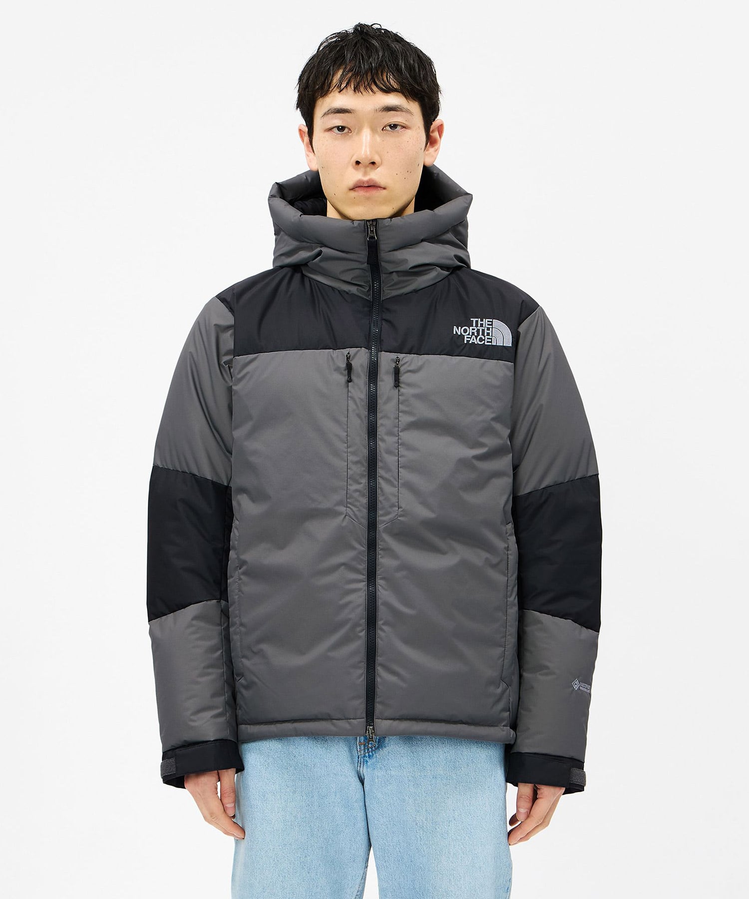 THE NORTH FACE BALTORO SLEEK LIGHT JACKET SPXAGの画像