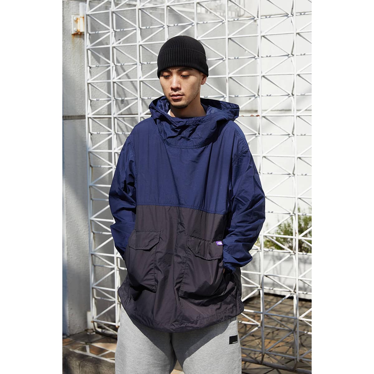THE NORTH FACE PURPLE LABEL PulloverPOLA - その他