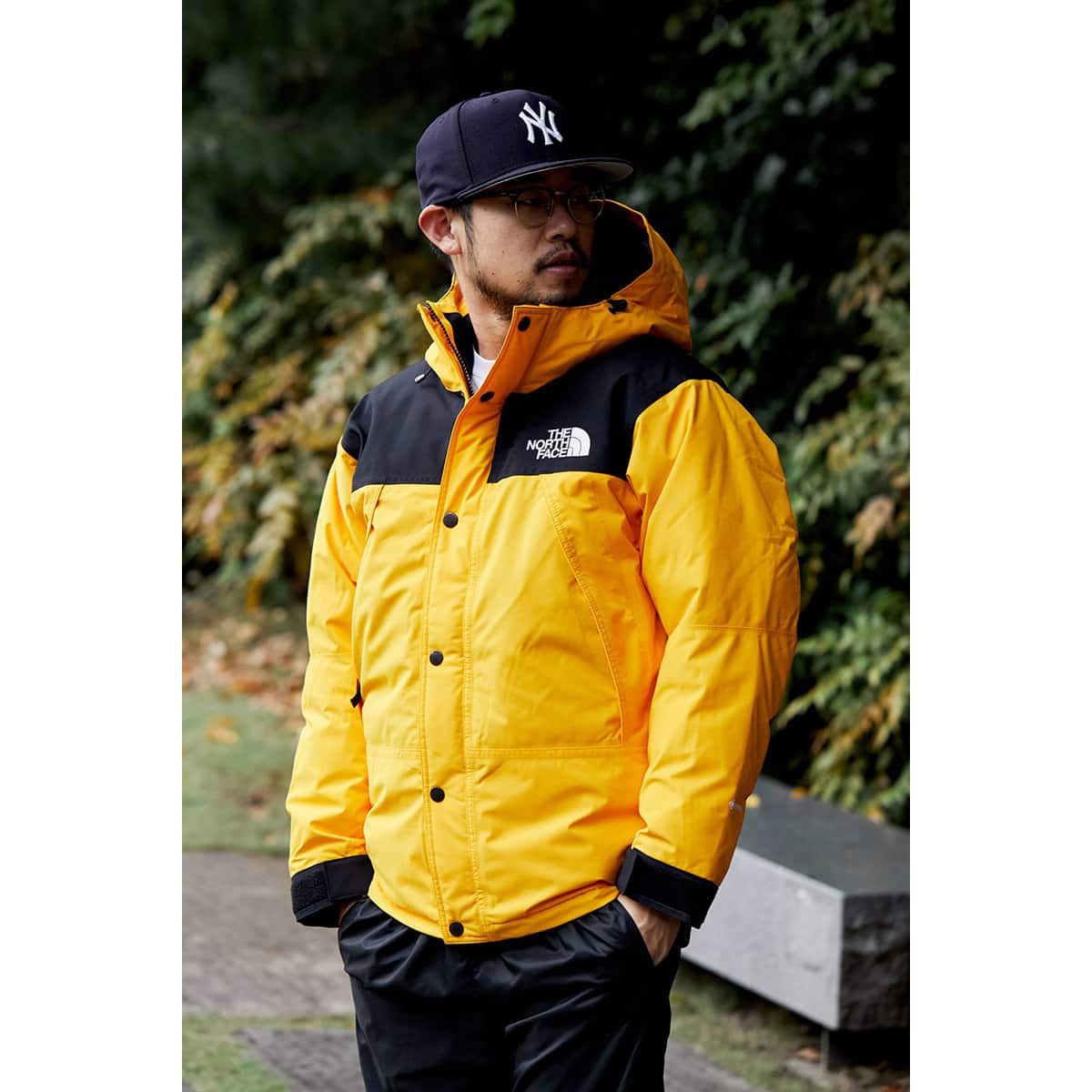 THE NORTH FACE マウンテンジャケット サミットシリーズ Lサイズ