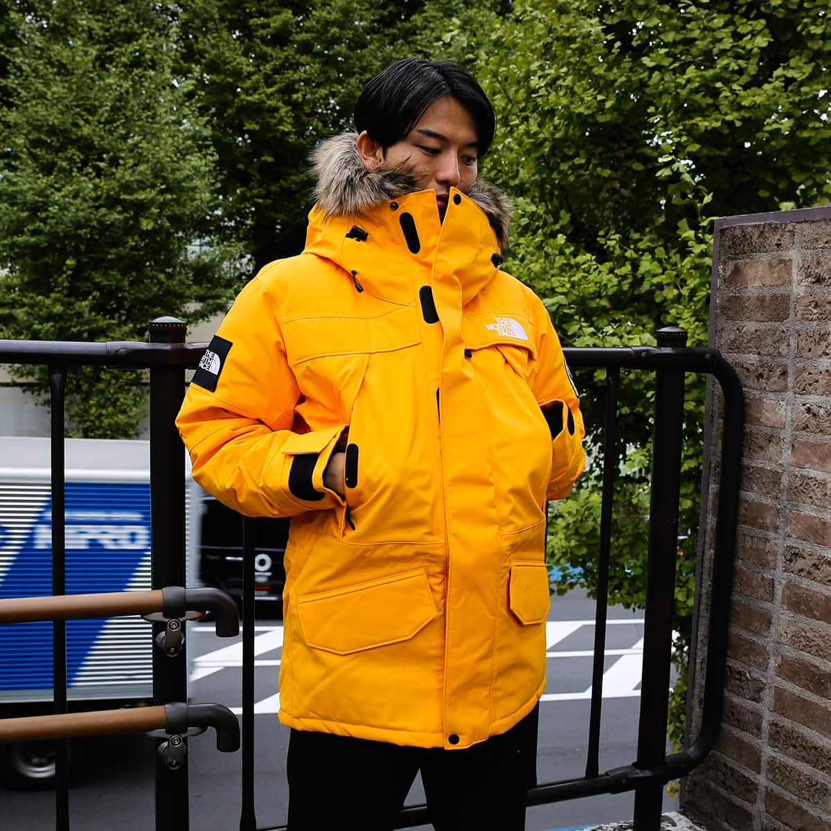 THE NORTH FACE ANTARCTICA PARKA SUMMIT GOLD 20FW-I