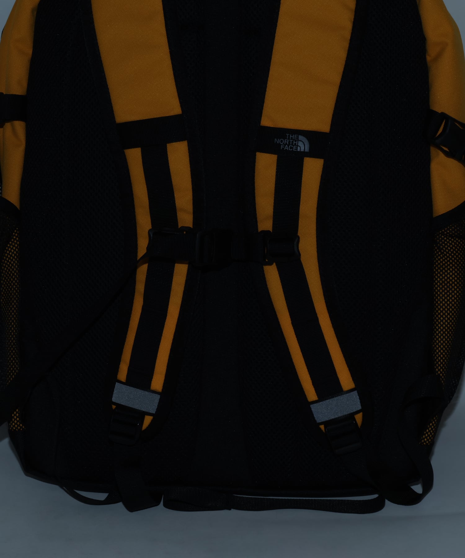 THE NORTH FACE LEAP 30 サミットGＬの画像