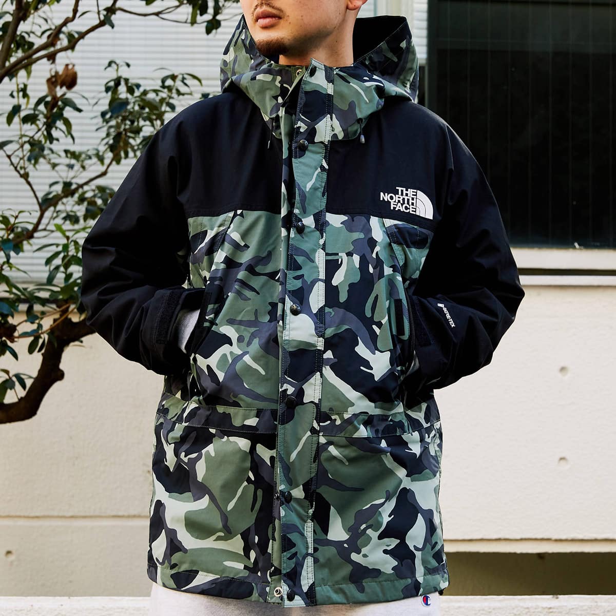 THE NORTH FACE NOVELTY MOUNTAIN LIGHT JACKET ローレルリース