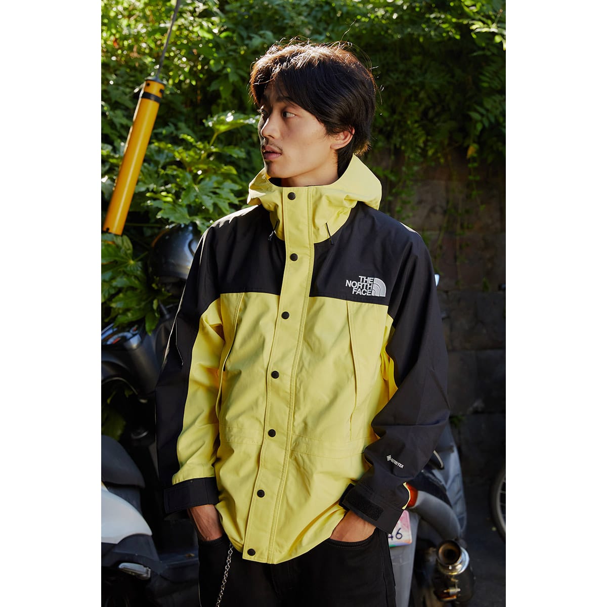 THE NORTH FACE MOUNTAIN LIGHT JACKET イエローテール 22FW-I