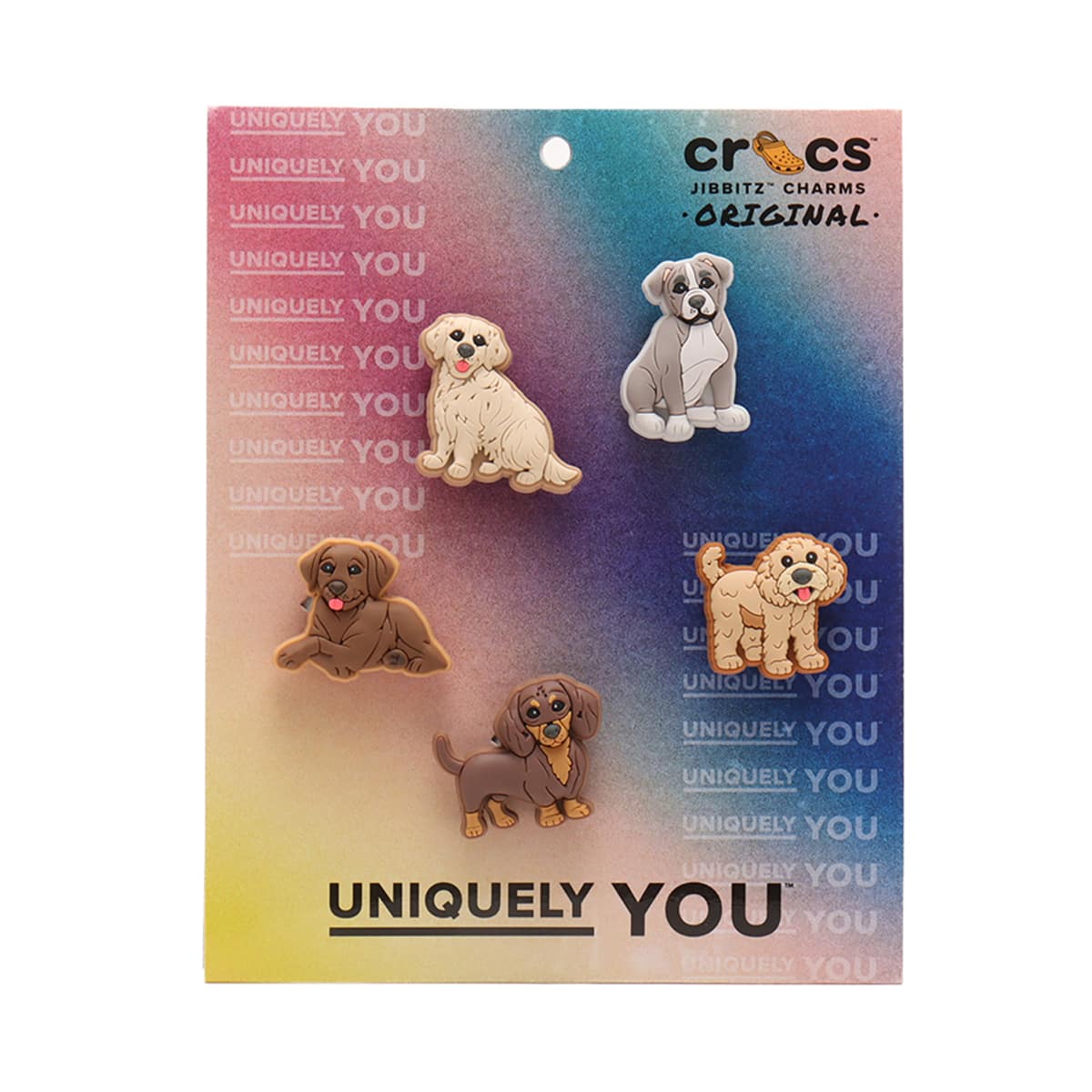 crocs Doggie Doodle 5 Pack MULTIのメイン画像