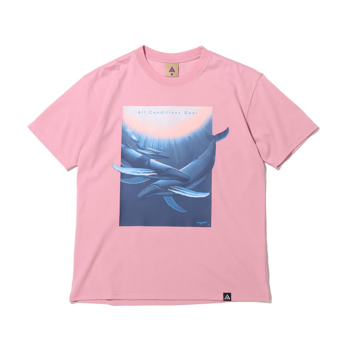 NIKE AS M NRG ACG SS TEE WYLAND ELEMENTAL PINK 21SU-I_photo_large